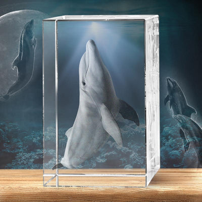 Dolphin 3D Crystal